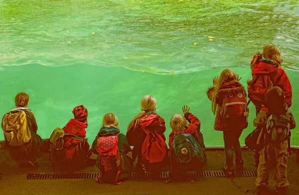 Photograph Afroditi Mavroeidi Green Water on One Eyeland