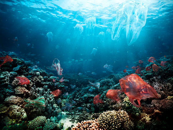 Photograph Staudinger Franke Sea Of Plastics on One Eyeland