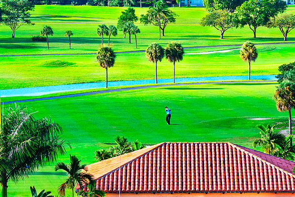 Photograph Mitchell Funk One Man On The Golf Course on One Eyeland