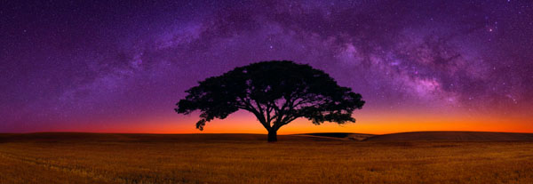 Photograph Peter Lik Celestial Dreams on One Eyeland