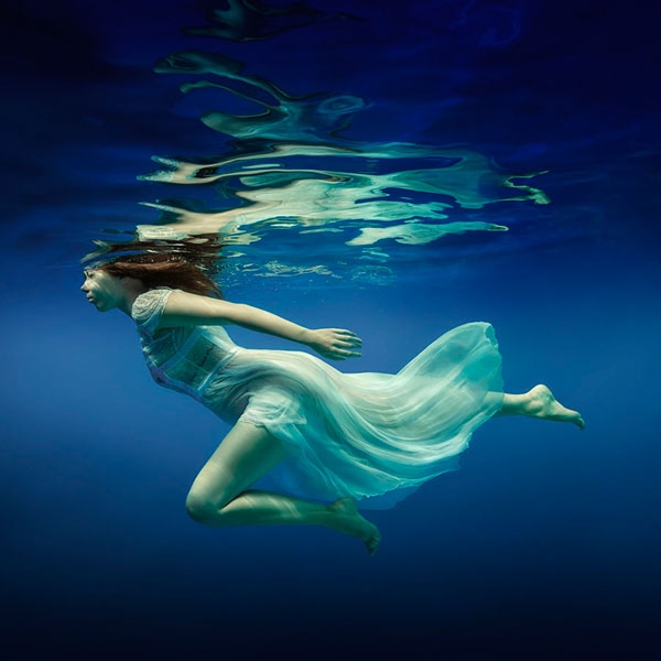 Photograph Dmitry Laudin Underwater Butterfly on One Eyeland