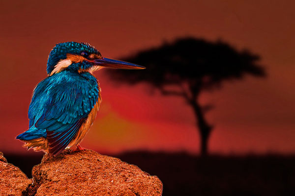 Photograph Shishir Saksena Sunset Fishing on One Eyeland