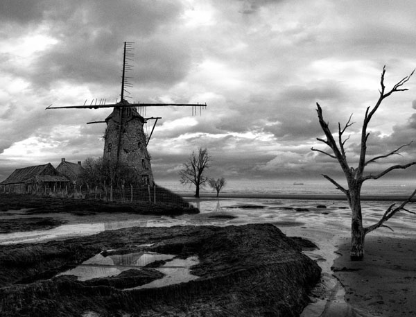 Photograph Freddy Wonterghem The Wind Is No Longer My Friend on One Eyeland