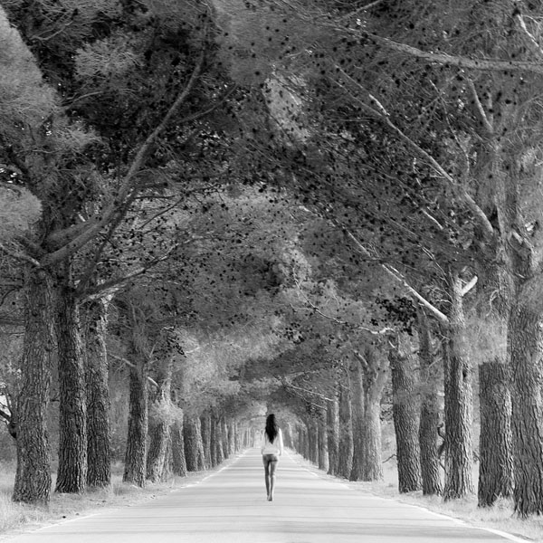 Photograph Jose Conceptes La Chica De Los Pinares on One Eyeland