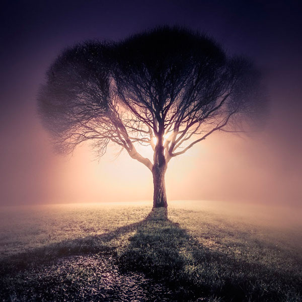 Photograph Mikko Lagerstedt Hypnotic on One Eyeland