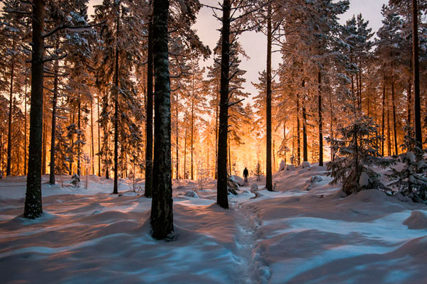 Photograph Mikko Lagerstedt Between Two Worlds on One Eyeland
