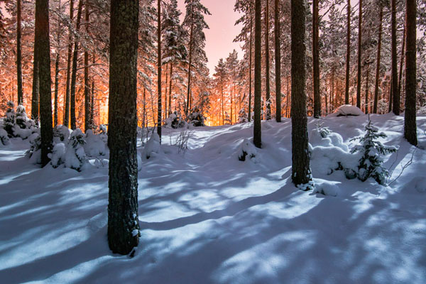 Photograph Mikko Lagerstedt Between Two Worlds Ii on One Eyeland