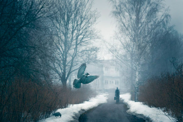Photograph Mikko Lagerstedt Dark Times on One Eyeland