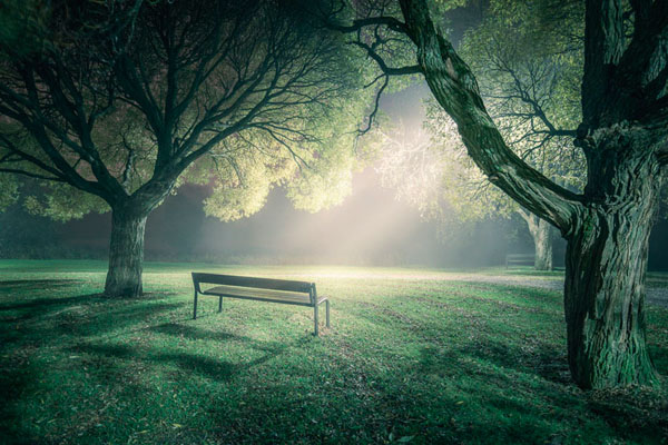 Photograph Mikko Lagerstedt In The Spotlight on One Eyeland