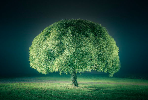 Photograph Mikko Lagerstedt Alone And Forgotten on One Eyeland