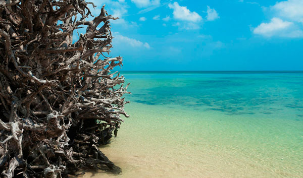 Photograph Anurag Kamilla Thorny Ocean on One Eyeland