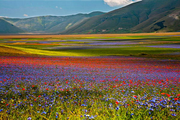 Photograph Fabrizio Cirulli A Sea Of Colors on One Eyeland