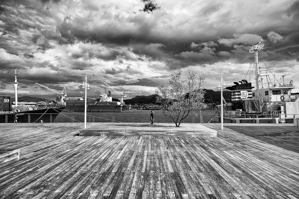 Photograph Yasuhiro Sakuda Man And Tree on One Eyeland