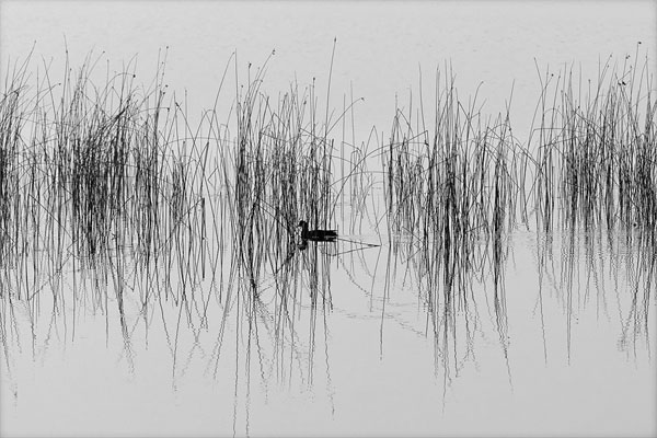 Photograph Karthik V Placid on One Eyeland