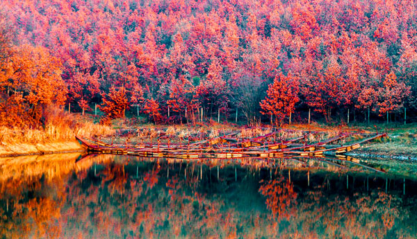 Photograph Riadh Niati Balkan Lake on One Eyeland