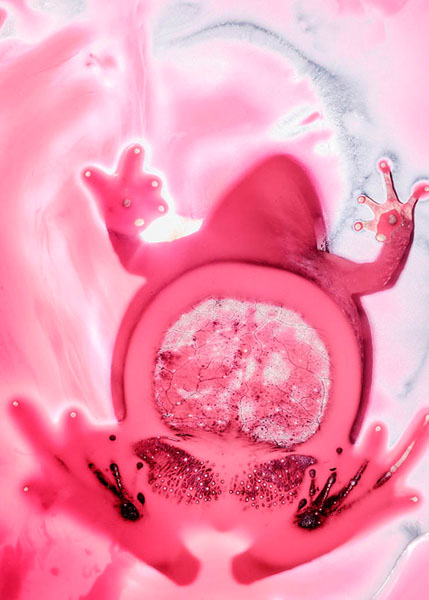 Photograph Ben Welsh Abstract Toad on One Eyeland