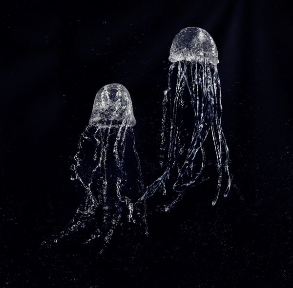 Photograph Gary Compton Jellyfish on One Eyeland