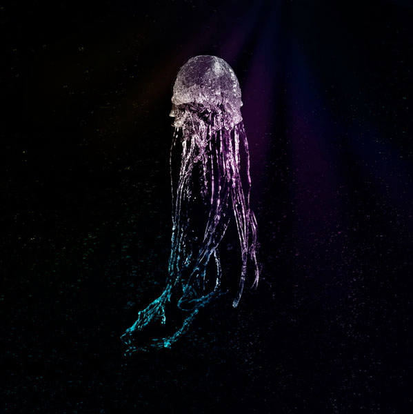 Photograph Gary Compton Jellyfish Colour on One Eyeland