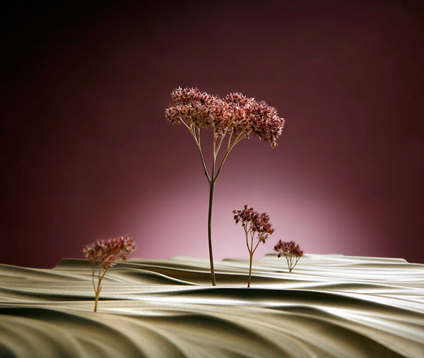 Photograph Evgeniya Palevskaya 4 Thres on One Eyeland