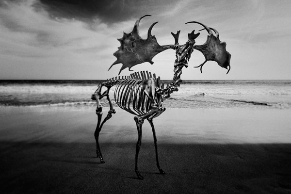 Photograph Juanmi Marquez Esqueleto Playa on One Eyeland