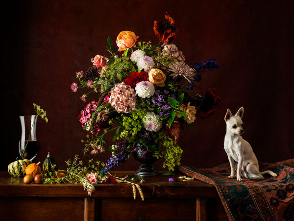 Photograph Tim Platt Little Lord Louis on One Eyeland