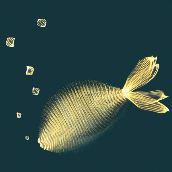Photograph Floriana Barbu Electric Fish on One Eyeland