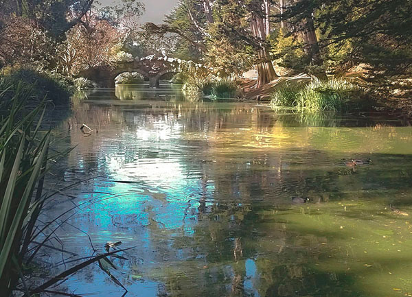 Photograph John Manalo Golden Gate Park Stowe Lake on One Eyeland