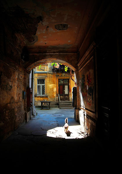 Photograph Vyacheslav Shcherbakov The Owner Of The Yard on One Eyeland