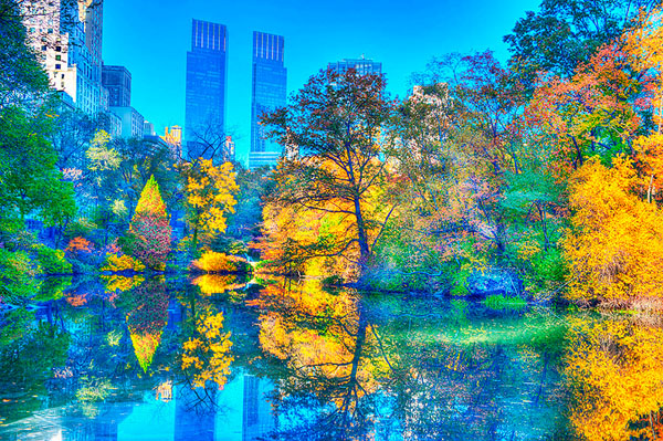 Photograph Mitchell Funk Blue Yellow Autumn on One Eyeland