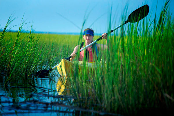 Photograph Chip Henderson Marsh Kayak on One Eyeland