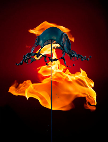 Photograph Jack Long Fire Jelly_0260 on One Eyeland