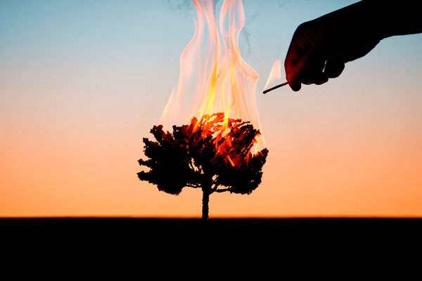 Photograph Cemal Samli Sunset on One Eyeland