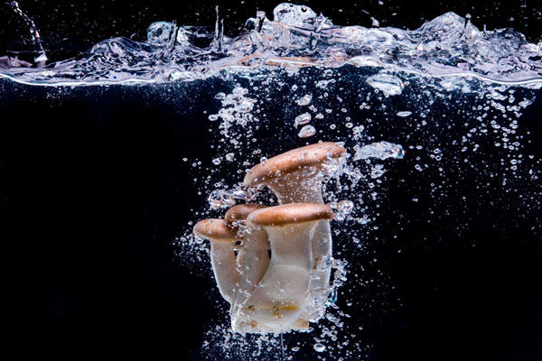Photograph Stephan Cooper Water And Vegetable on One Eyeland