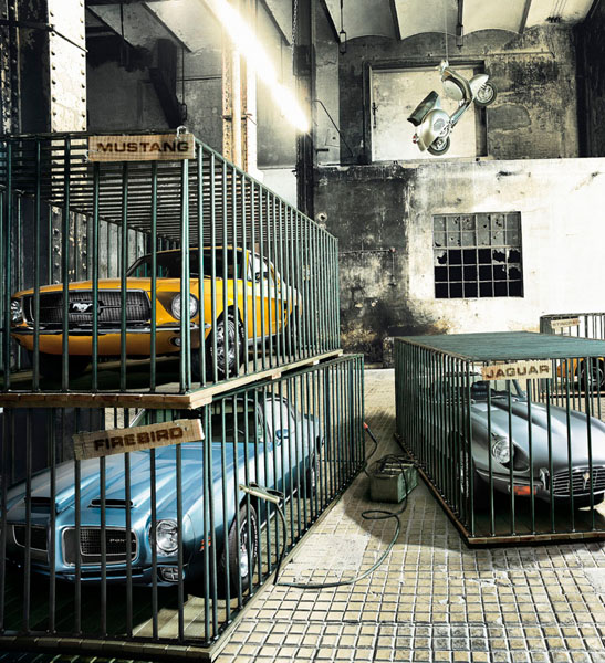 Photograph Staudinger Franke Caged on One Eyeland