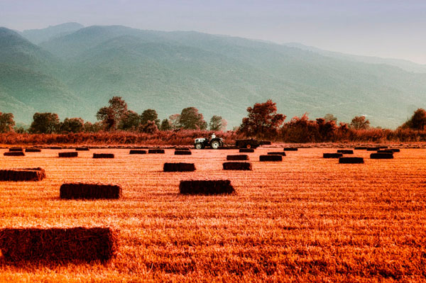 Photograph Eugenia Kyriakopoulou Red Summer on One Eyeland