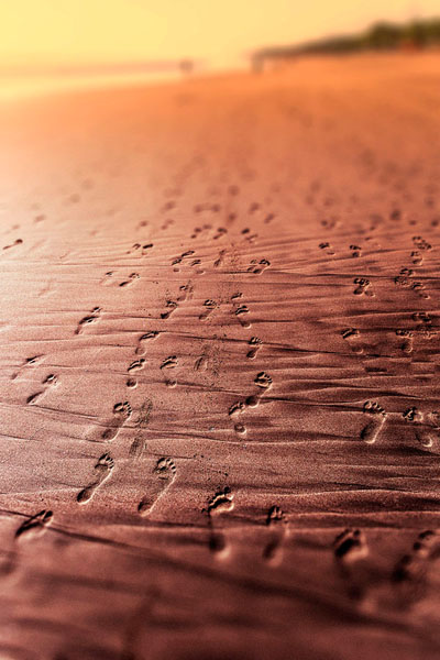 Photograph Mauro Risch Lost In The Sand on One Eyeland
