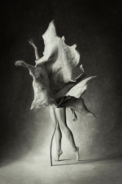 Photograph Ralph Mercer Myths_untitled 11 on One Eyeland