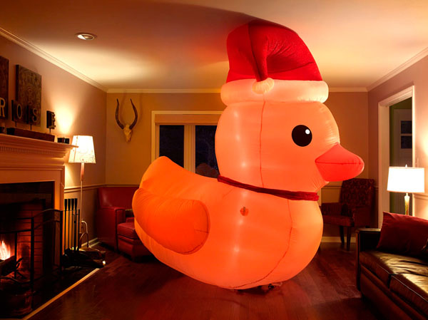 Photograph Ed James Christmas Duck on One Eyeland