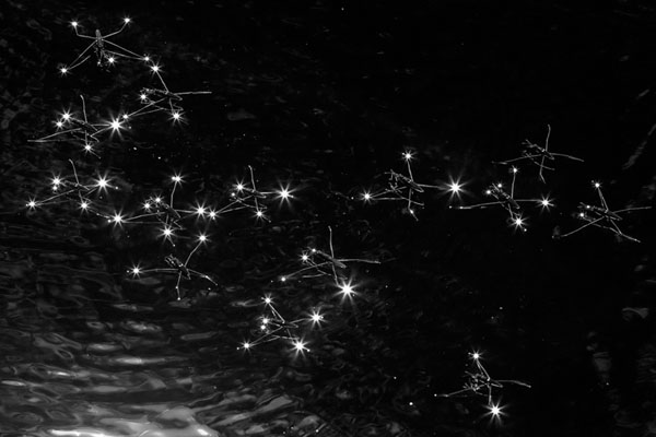 Photograph Ville Miettinen Stars on One Eyeland