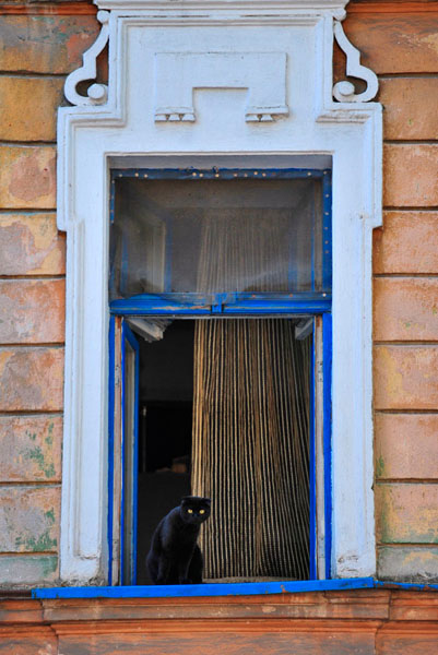 Photograph Vyacheslav Shcherbakov Cat In The Window on One Eyeland
