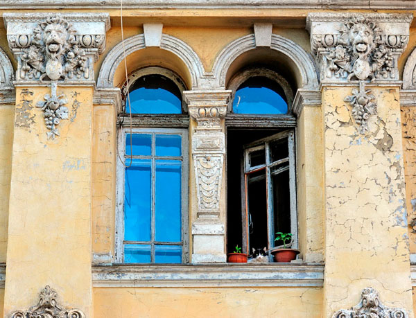 Photograph Vyacheslav Shcherbakov Odessa Cat on One Eyeland