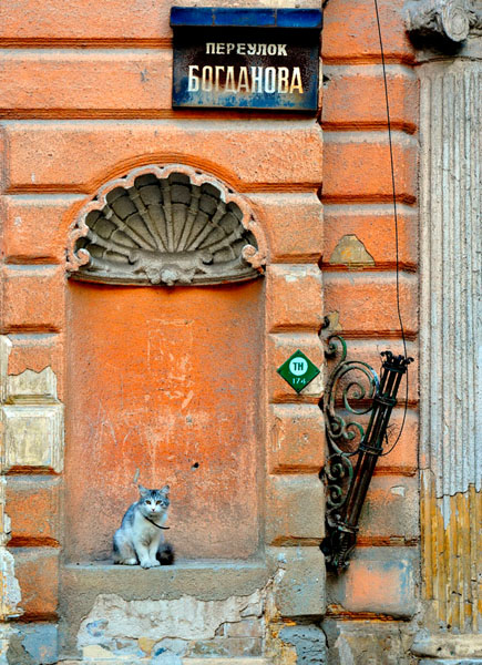 Photograph Vyacheslav Shcherbakov Housekeeper on One Eyeland