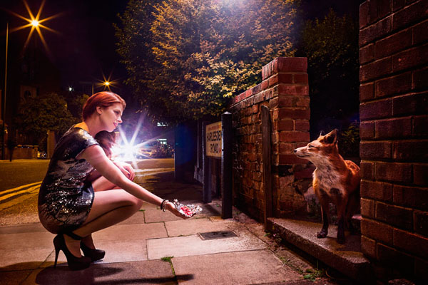 Photograph Igor Emmerich Night Creatures Fox on One Eyeland