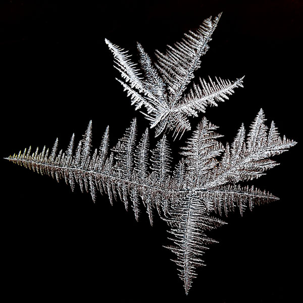 Photograph Ville Miettinen Frozen Twins on One Eyeland