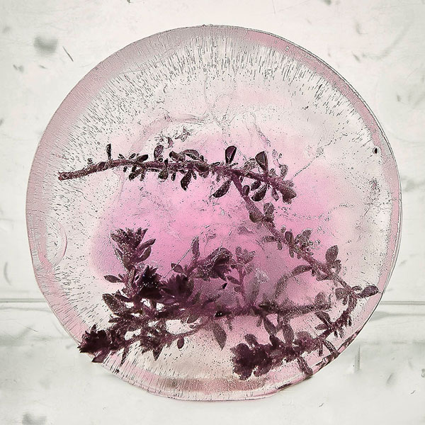 Photograph Julia Bernatovica Frozen Life on One Eyeland
