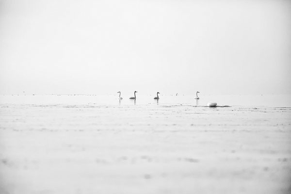 Photograph Klaus Elmfelt One on One Eyeland