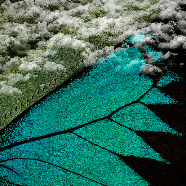 Photograph Lisa Saad Manscape on One Eyeland