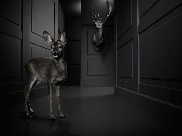 Photograph Staudinger Franke Hallway on One Eyeland