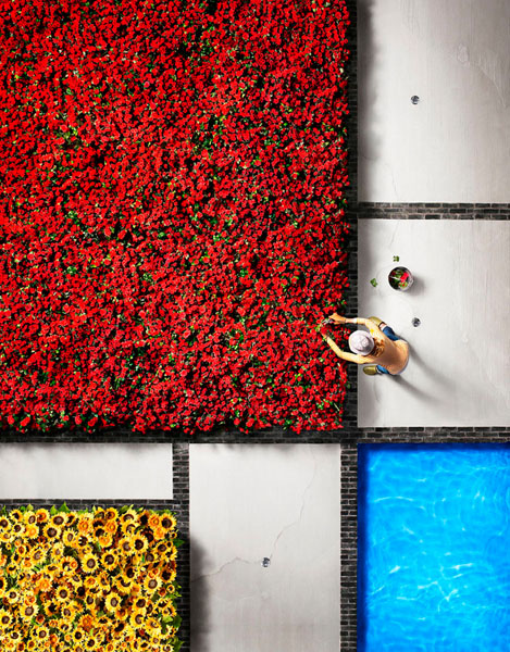 Photograph Staudinger Franke Mondrians Garden on One Eyeland