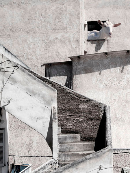 Photograph Afroditi Mavroeidi The Neighbour on One Eyeland